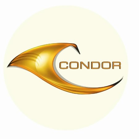 The Condor Group