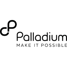 Palladium Development