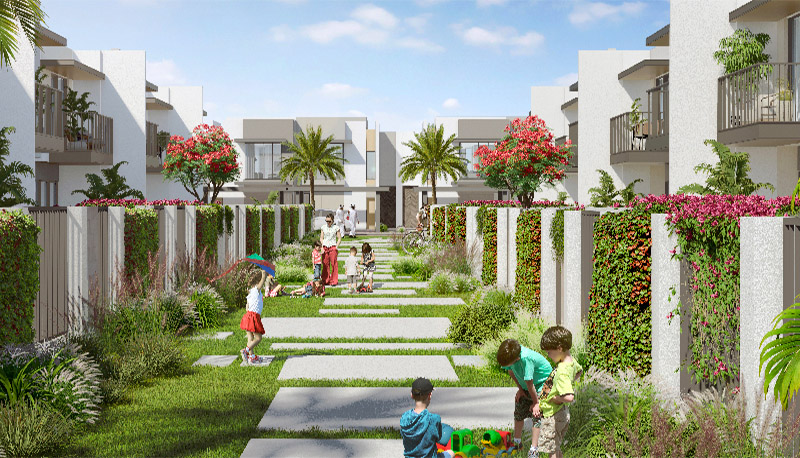 Development Image