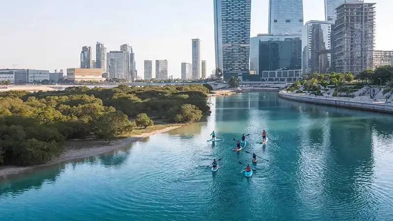 Radiant Atrium Towers